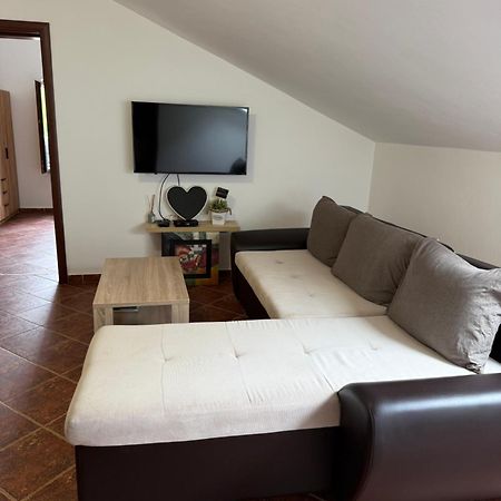 Apartment Atina Kotor Eksteriør billede